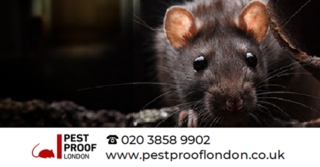 Pestprooflondon