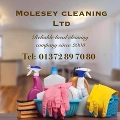 Molesey Cleaning Ltd