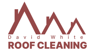 DavidWhite