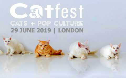 Cat Fest, czyli Koci Festiwal w Londynie