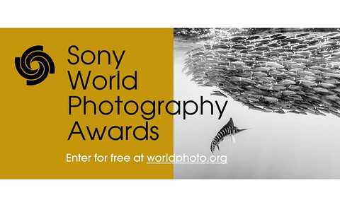 Wystawa Sony World Photography Awards 2020