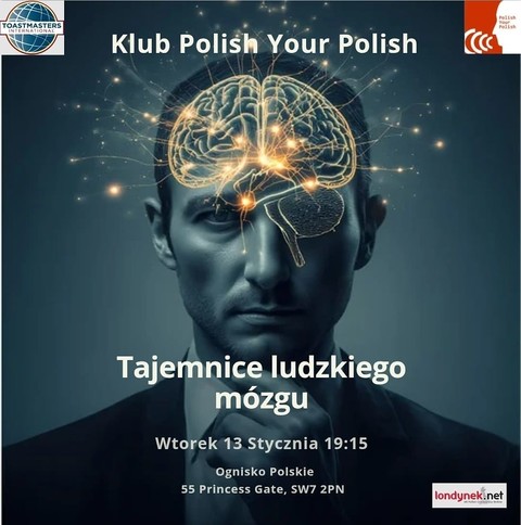 Polish Your Polish: Tajemnice ludzkiego mózgu