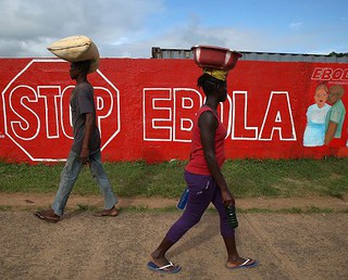 WHO: Ponad 6 tys. ofiar eboli w trzech krajach Afryki Zachodniej