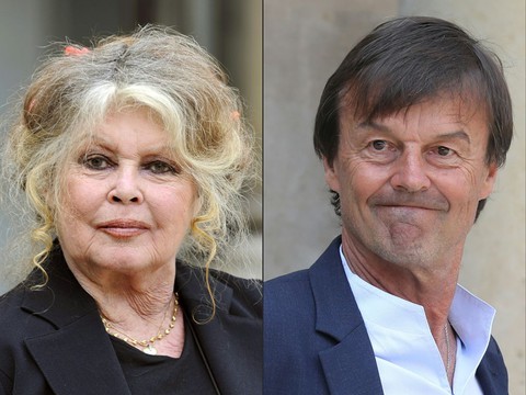 Brigitte Bardot to the French minister: "You are a coward"