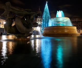 Trafalgar Square Christmas tree sparkles following light switch on ceremony
