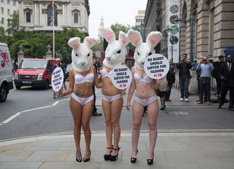 London fashion week vows to be fur-free