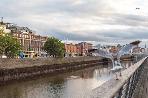 Dublin: Wzrost cen domów spowolnił do 2,7%