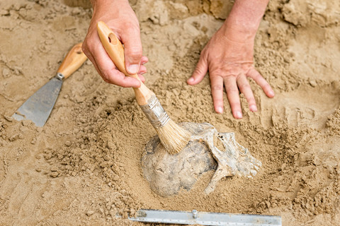 Odkryto szczątki neandertalczyka w Polsce. Mają ponad 100 tys. lat