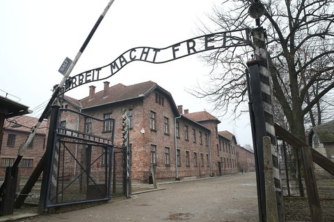 Turysta z Irlandii odpowie za niszczenie Muzeum Auschwitz