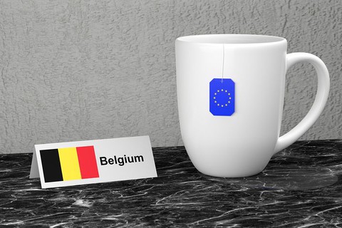 Polacy startują w wyborach lokalnych w Belgii i chcą pomagać rodakom