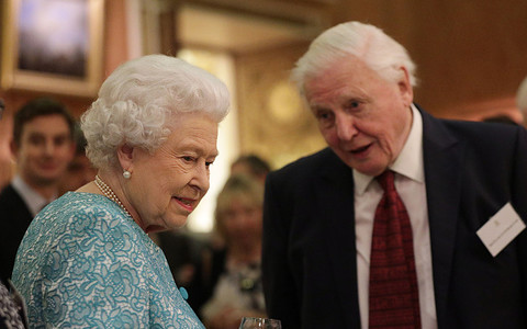 David Attenborough is the most popular person in Britain