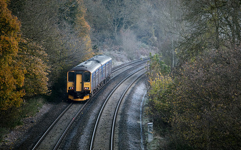 Chaos na brytyjskiej kolei z powodu  liści na torach 