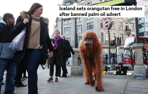 Sklepy Iceland rekordowo popularne po tym, jak zablokowano ich reklamę