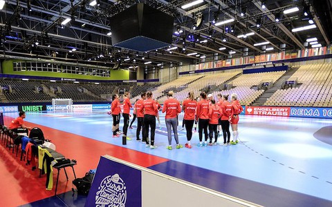 Change in the team of handball players for the match with Sweden