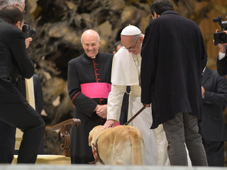 All dogs go to heaven: Pope Francis says animals will enter pearly gates