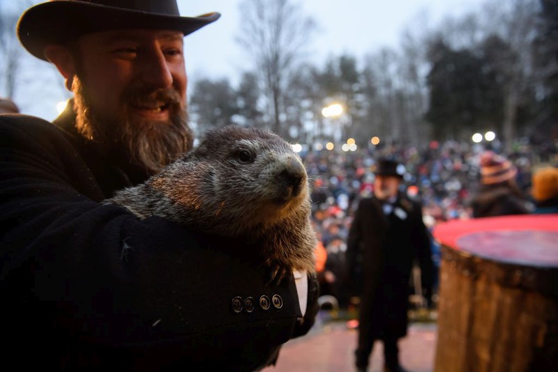 Groundhog Day 2019: Punxsutawney Phil did not see his shadow
