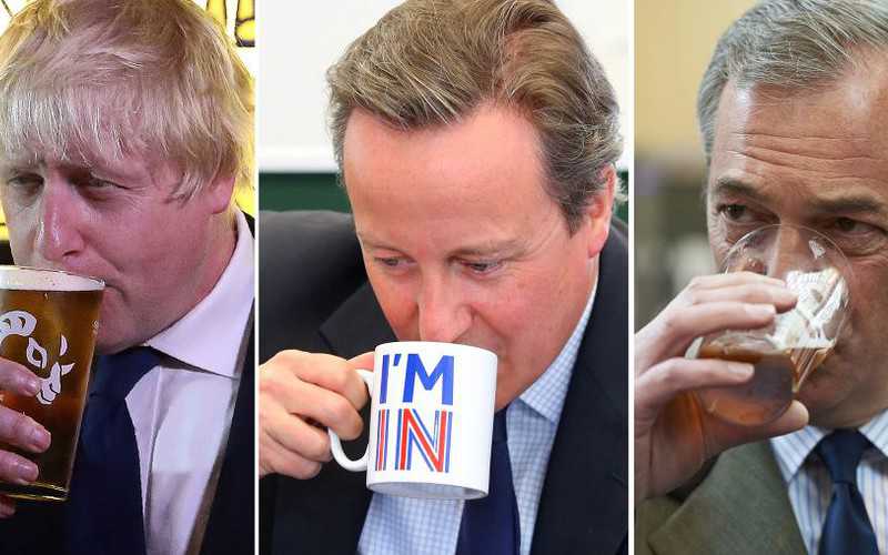 Alkohol a poglądy polityczne w UK: Zwolennicy Brexitu wolą gorzkie smaki