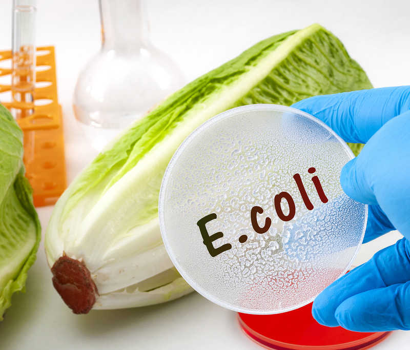 Brytyjscy naukowcy opracowali szkło, które zabija E.coli