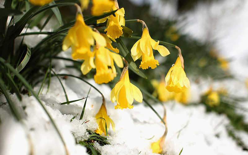 Pogoda w UK: Zimowy podmuch wiosny