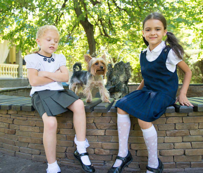 Every school 'needs dog as stress-buster'