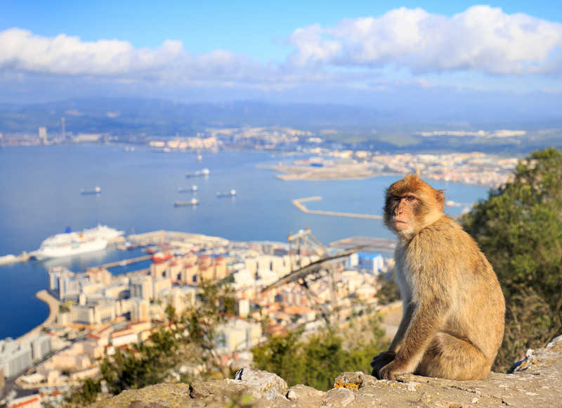 Wielka Brytania przegrała w PE potyczkę w sprawie określenia Gibraltaru "kolonią"