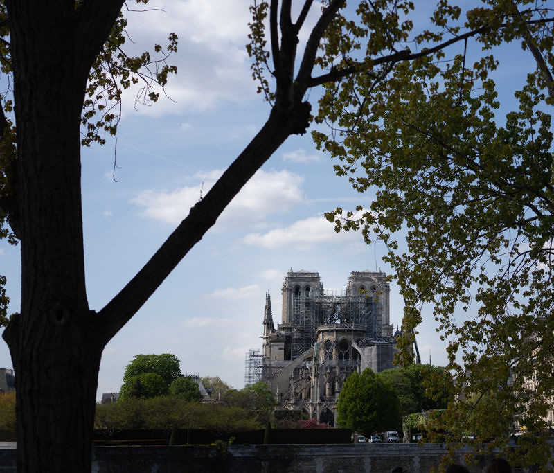 IOC will give 500,000 euro to rebuild Notre Dame