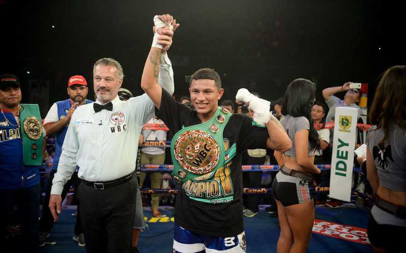 Meksykański bokser Berchelt obronił tytuł w wadze superpiórkowej