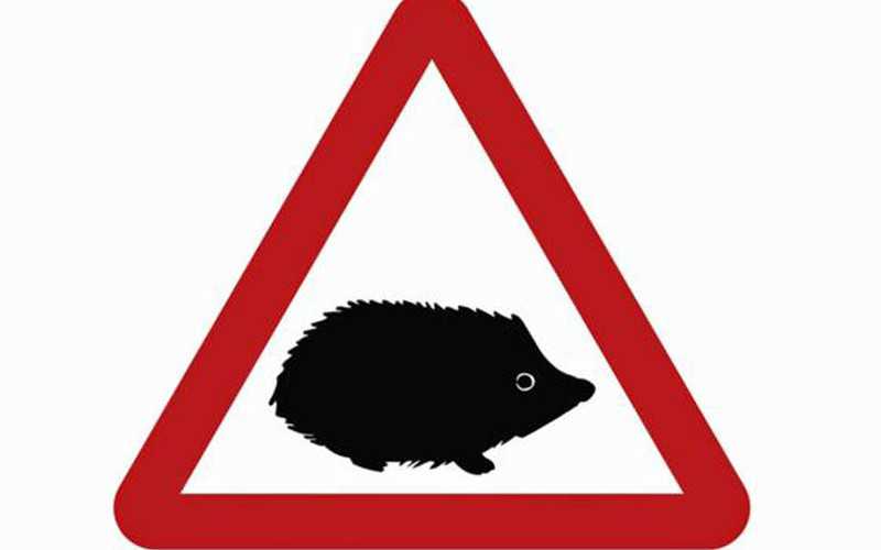 Hedgehogs set to get their own warning sign on roads
