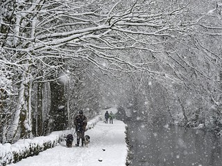 UK weather: Snow to fall in the coming week with sub-zero temperatures to last until early February