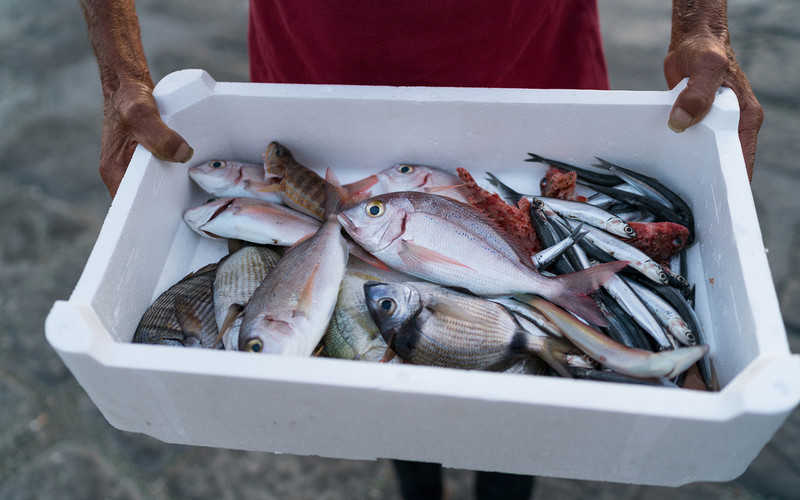 WWF: Europejczycy skazani na import ryb
