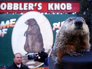 Groundhog Day 2015: Punxsutawney Phil sees shadow, predicts six more weeks of winter
