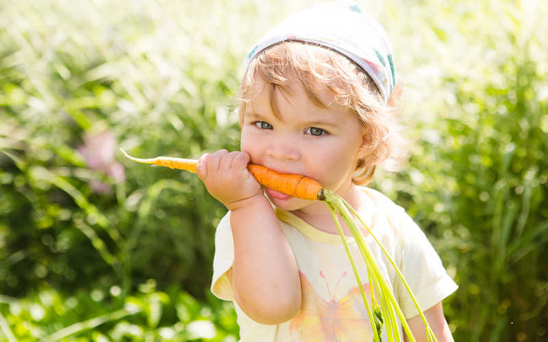 Polskie dzieci jedzą za mało warzyw i owoców