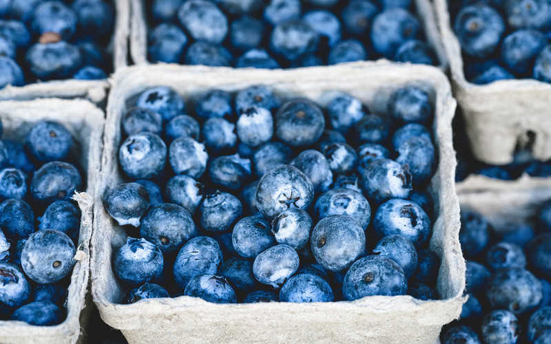 Export of polish blueberry hits record high
