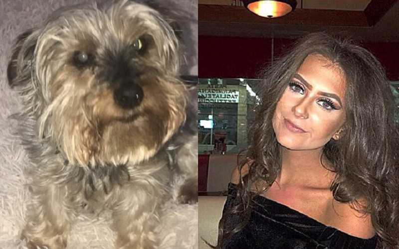 18-latka z UK walczy o urlop na opłakiwanie śmierci psa