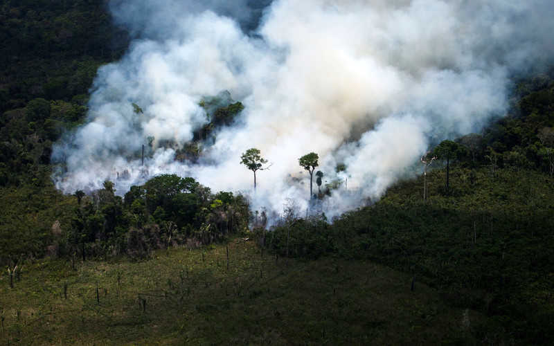 Pożary w Amazonii: Irlandia ostrzega Amerykę Południową