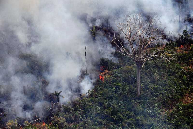 Pożary w Amazonii: Brazylia poprosiła o pomoc wojsko