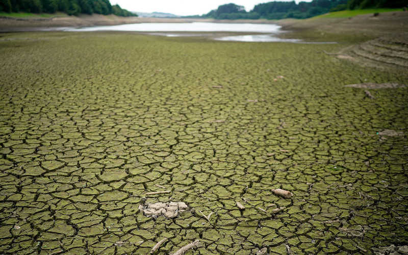 Raport: Części Anglii grozi susza przed 2035 r. 