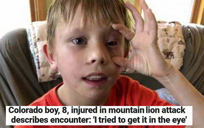 Ośmiolatek z USA przeżył atak pantery. "Po prostu okładałem ją pięściami"