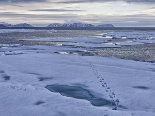 Polacy na kole podbiegunowym współtworzą centrum informacji o Arktyce
