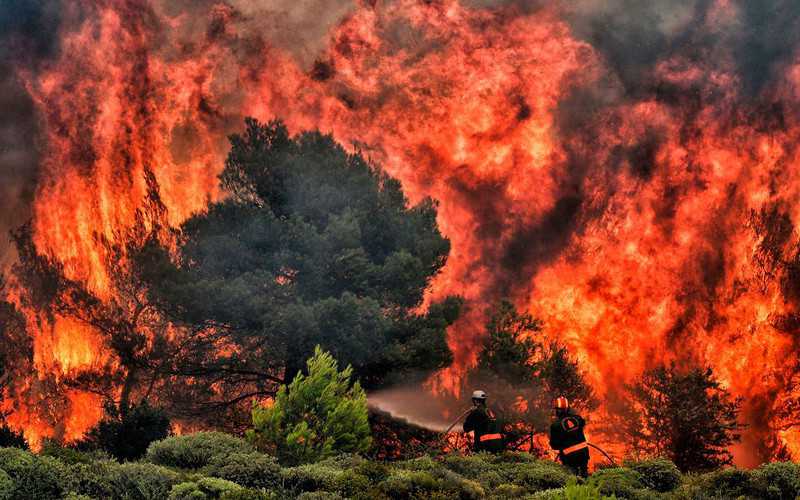 Tourists evacuated as fire nears Zakynthos resort