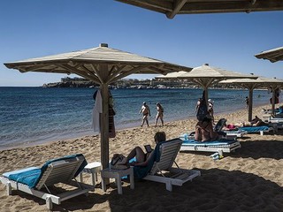 German tourist killed in shark attack on Egypt's Red Sea coast