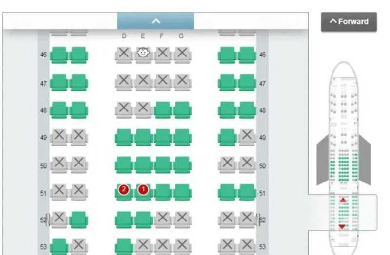 Japan Airlines lets passengers choose where to sit so they're away from babies