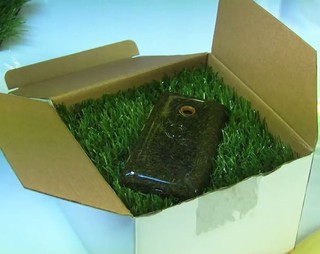 Brytyjczycy wymyślili ekologiczny telefon wykonany z trawy