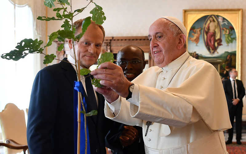 Tusk spotkał się z papieżem. Podarował mu dąb z Polski