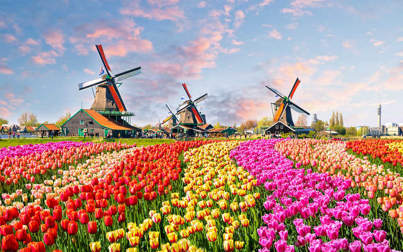 The Netherlands zamiast Holland. Holandię czeka "rebranding"