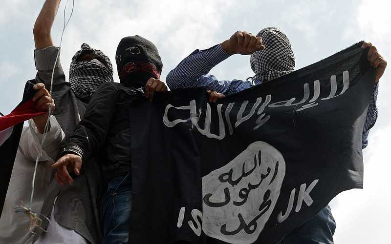 Turkey to start repatriating captured Daesh members - minister