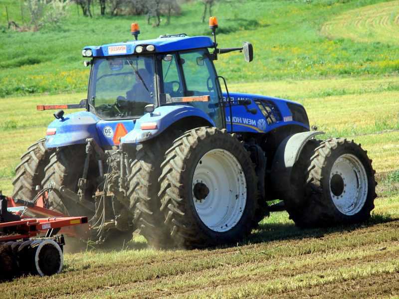 UK to quadruple quota for migrant farm workers: Sunday Telegraph