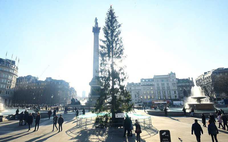 Londyn: Zapalono światełka na "anemicznej" choince na Trafalgar Square