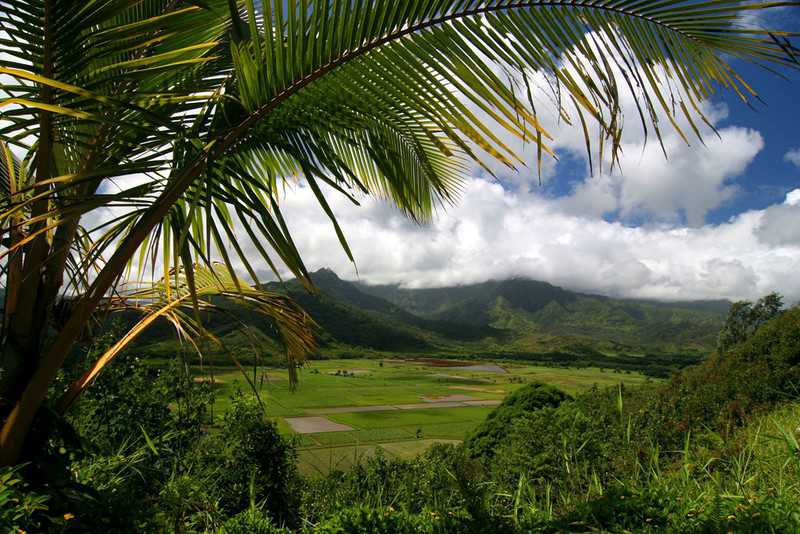 Wrak helikoptera, który zaginął w czwartek na Hawajach, odnaleziony