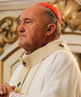Cardinal Nycz: The Irish referendum is warning for Europe and Poland